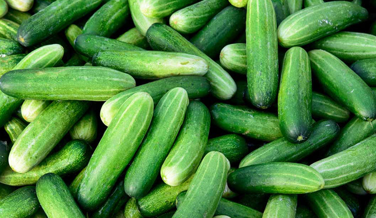 Cucumbers