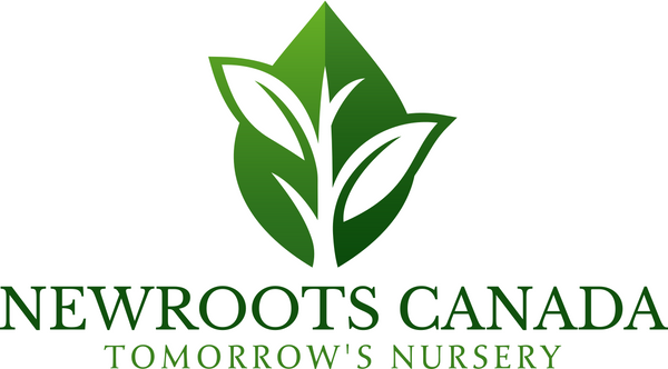 NewRoots Canada