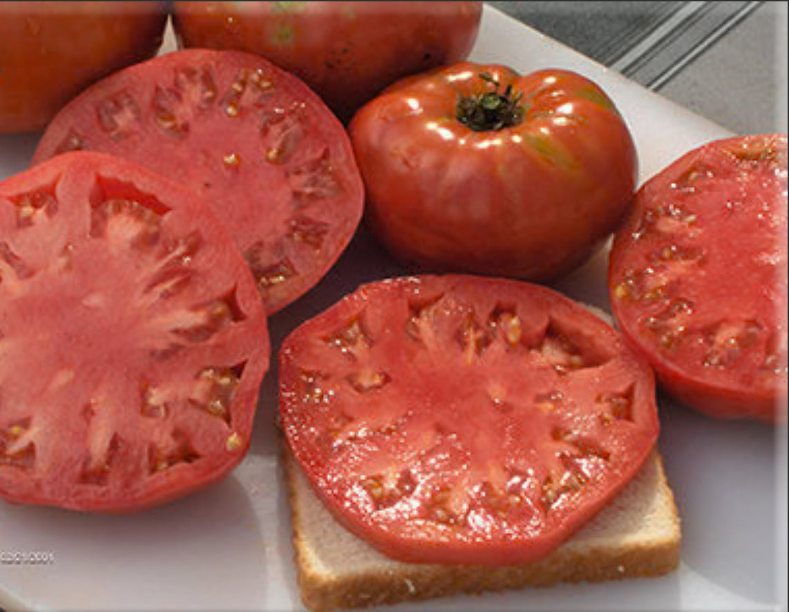 Tomato - Kukla’s Portuguese