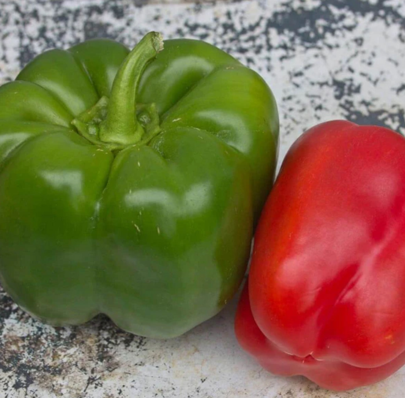 California Wonder Pepper