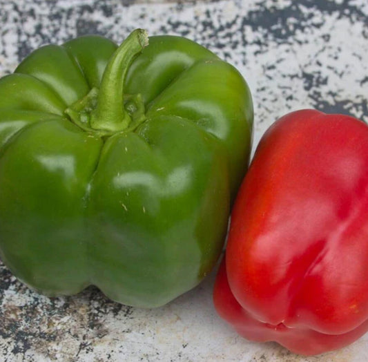 California Wonder Pepper