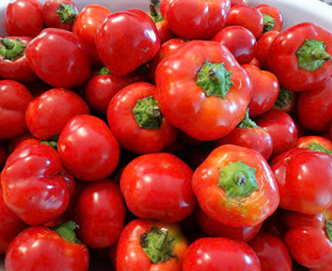 Pepper Weaver’s Mennonite Stuffing 6 inch pot