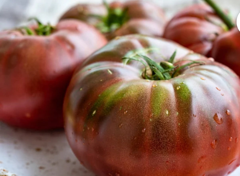 Tomato - Black Krim