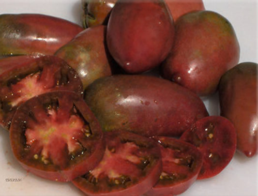 Tomato - Purple Russian