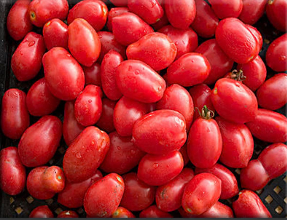 Tomato-Re Umberto ( Rare)