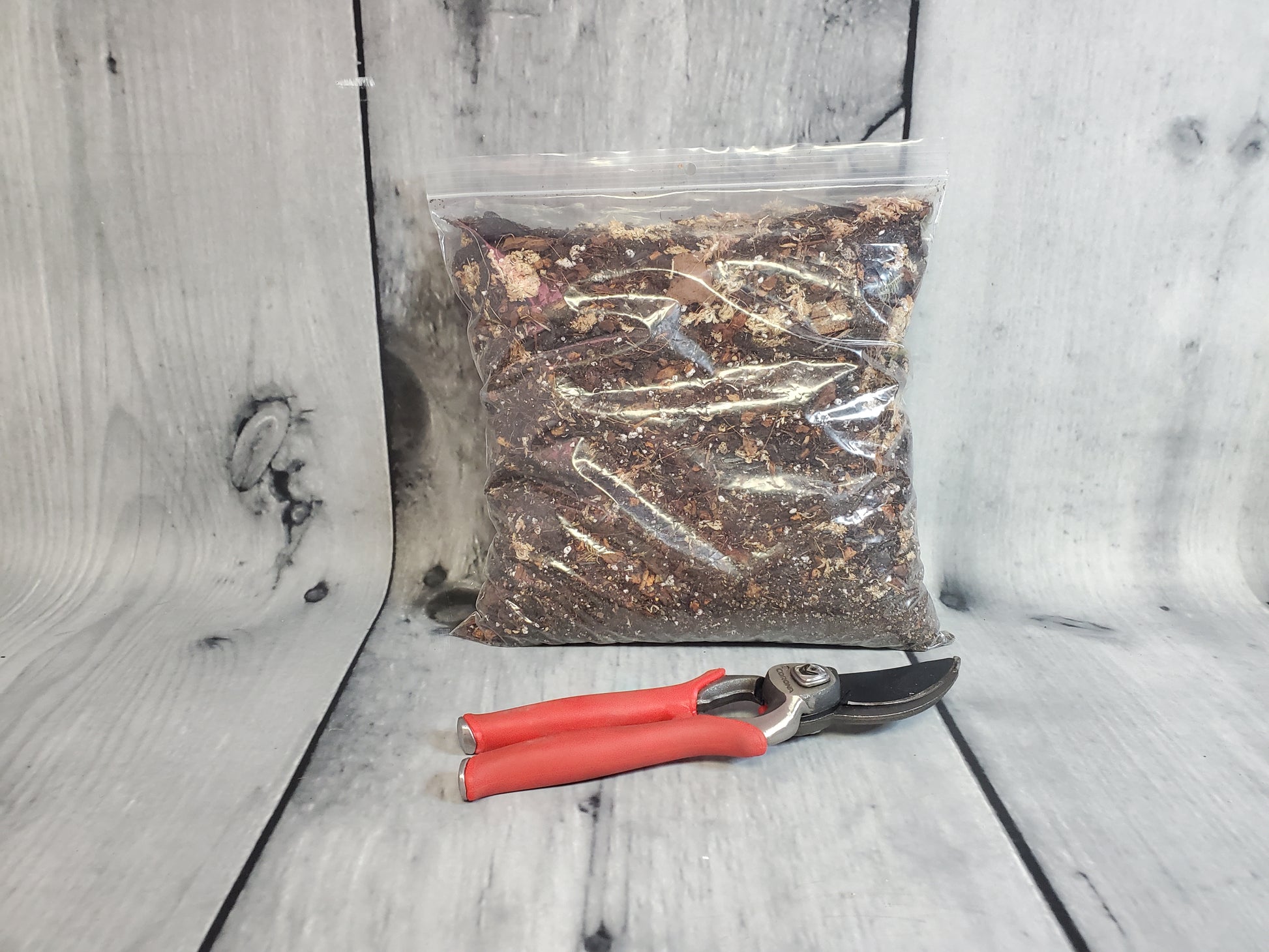 NewRoots Ultimate Whale Fin Soil - 10 Ingredient Formulation - Sansevieria Masoniana - NewRoots Plants