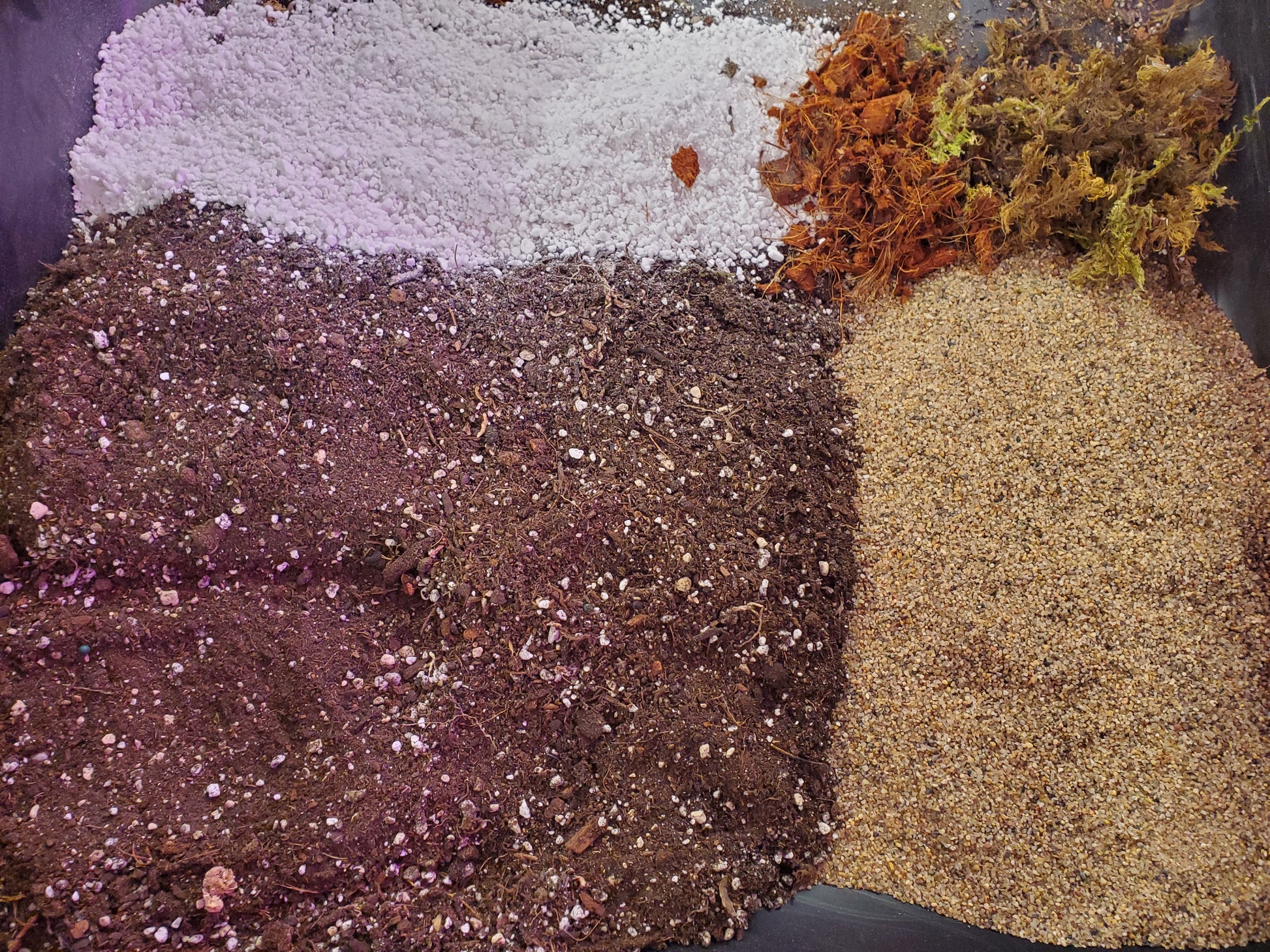 NewRoots Premium Cactus / Succulent Soil - NewRoots Plants