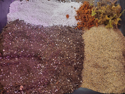 NewRoots Premium Cactus / Succulent Soil - NewRoots Plants