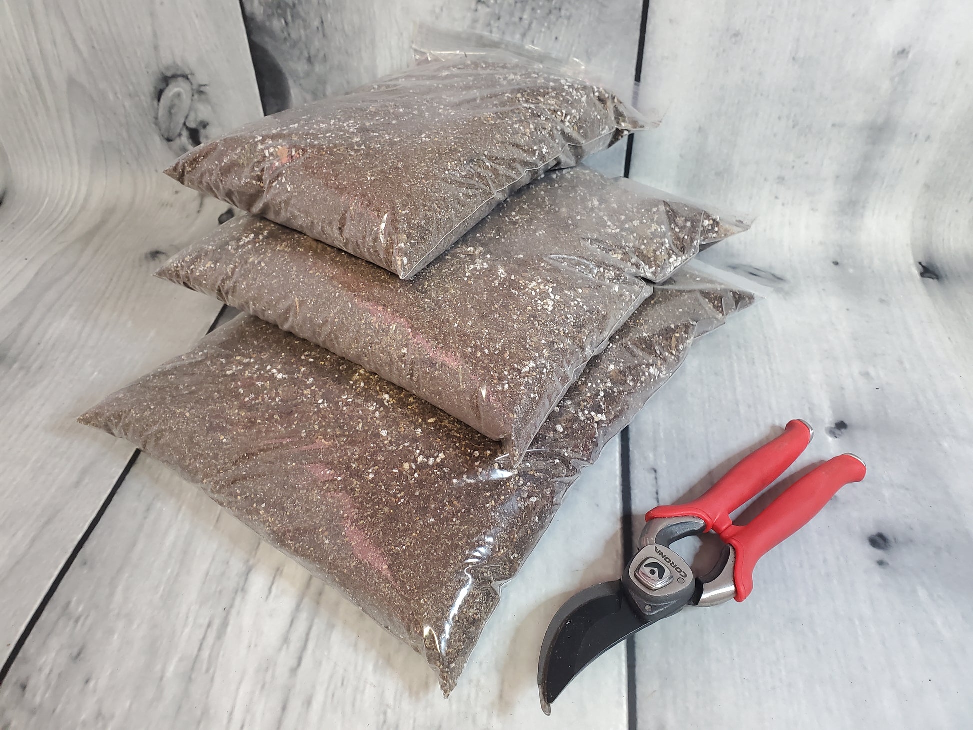 NewRoots Premium Cactus / Succulent Soil - NewRoots Plants