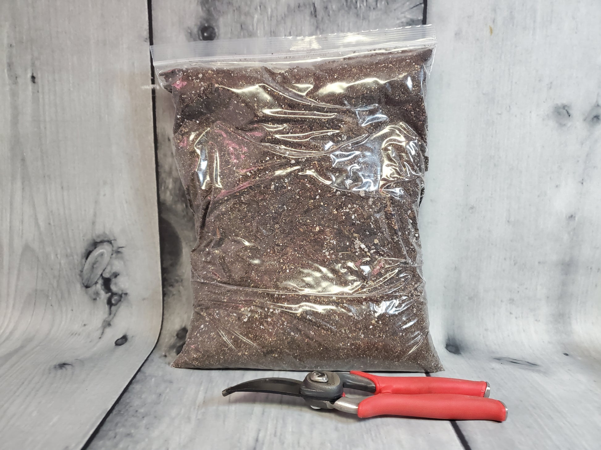 NewRoots Premium Cactus / Succulent Soil - NewRoots Plants