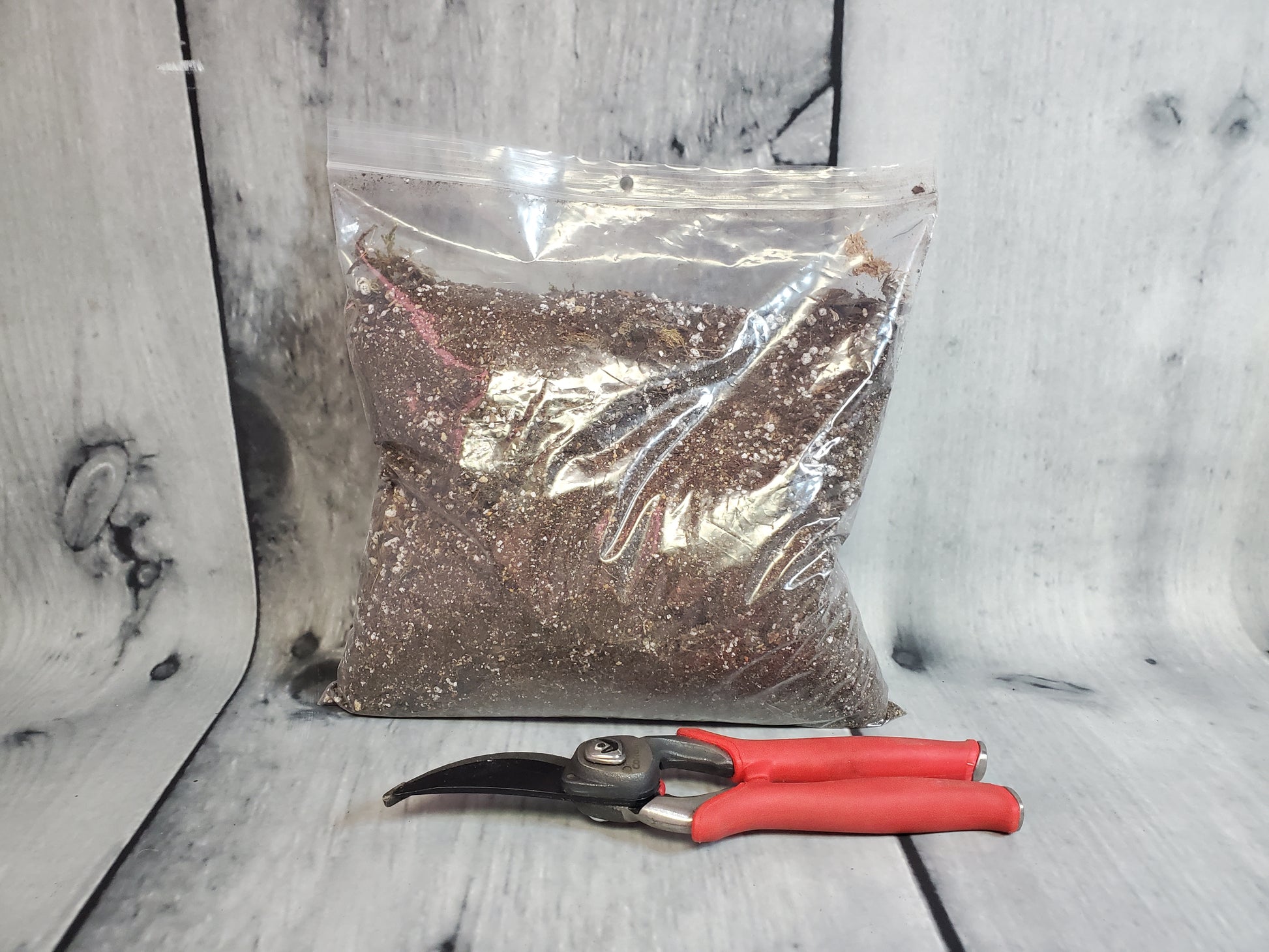 NewRoots Premium Cactus / Succulent Soil - NewRoots Plants