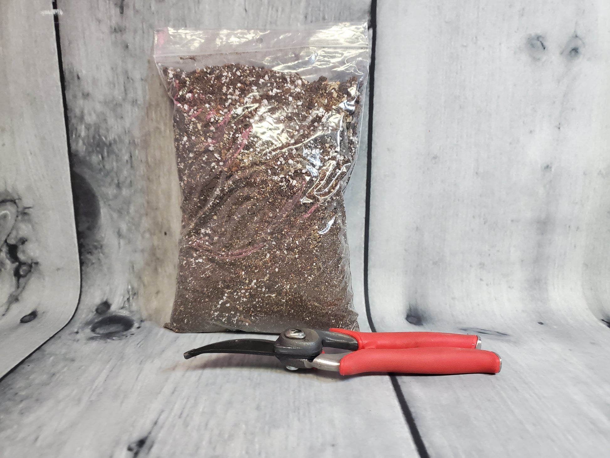 NewRoots Premium Cactus / Succulent Soil - NewRoots Plants