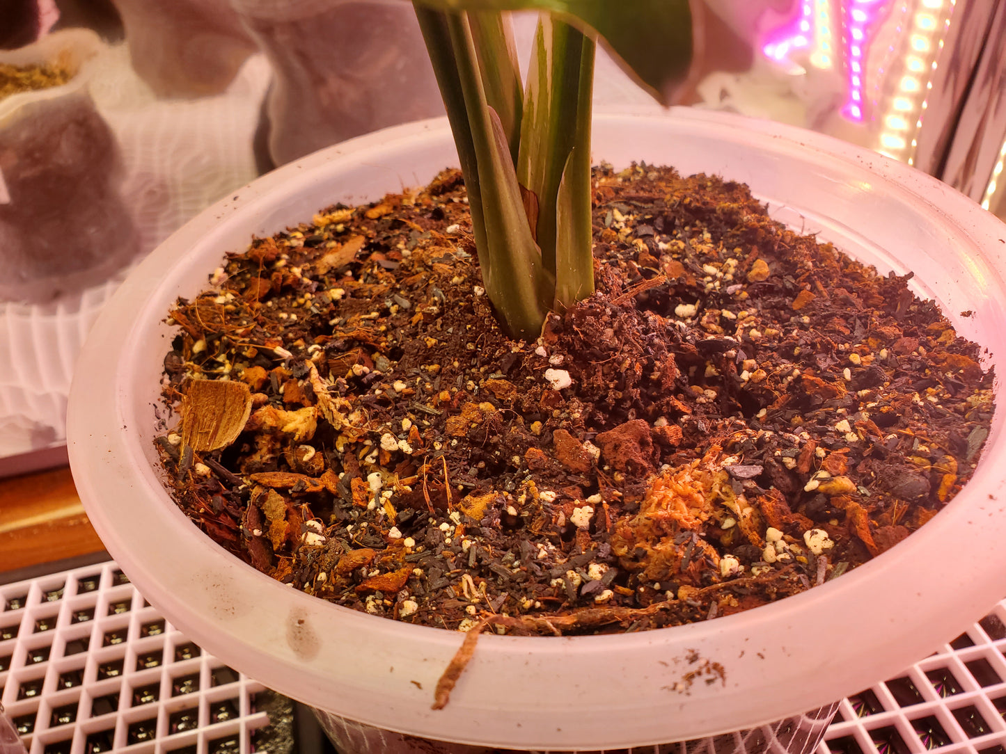 NewRoots Premium Aroid Soil - Custom formulated 12 ingredient Soil Mix - NewRoots Plants