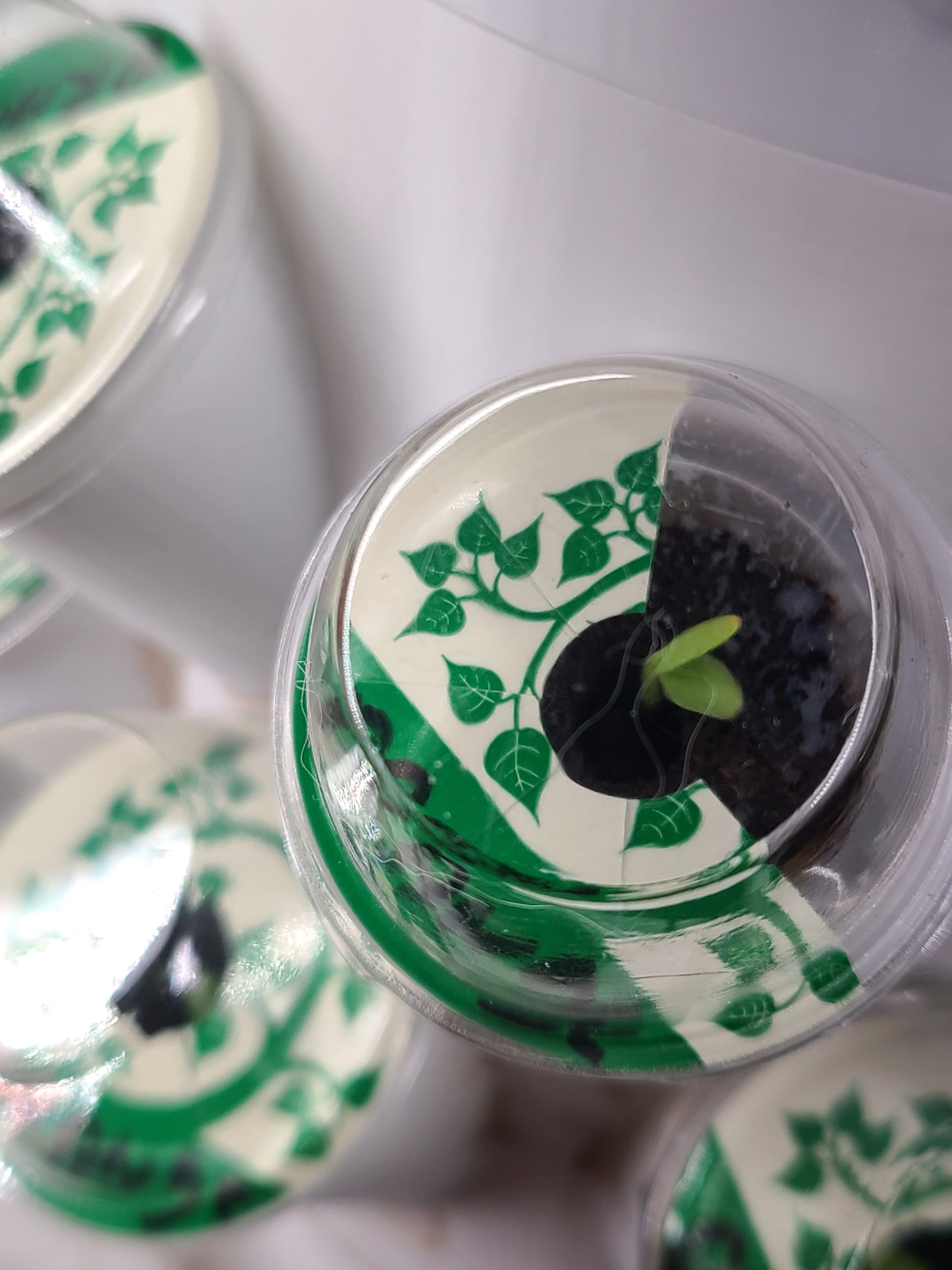 Vertical Hydroponic Seeding Tower - Large - 180 pods