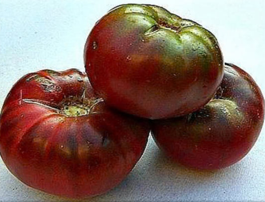 Tomato - Black Sea Man