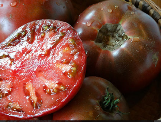 Tomato - Black Sara