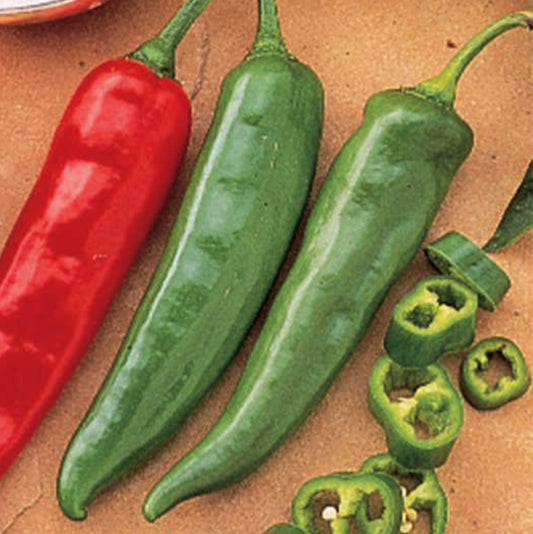 Hot Pepper Garden Salsa