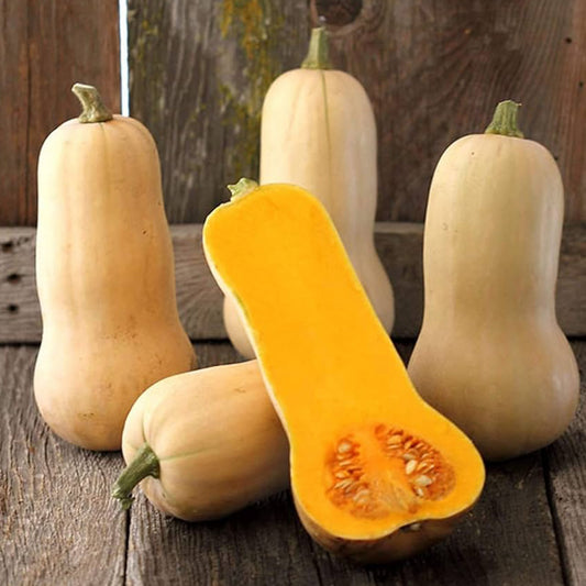 Butternut squashes