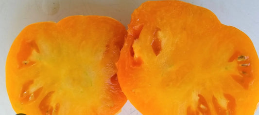 Tomato -  Orange Minsk