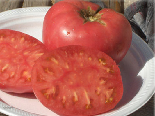 Tomato-Marianna’s Peace( Czechoslovakian)