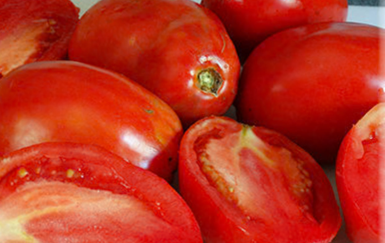 Tomato -  Romana’s Ukrainian