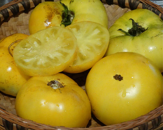 Tomato- Azoychka Yellow