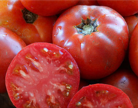 Tomato- Cosmonaut Volkov