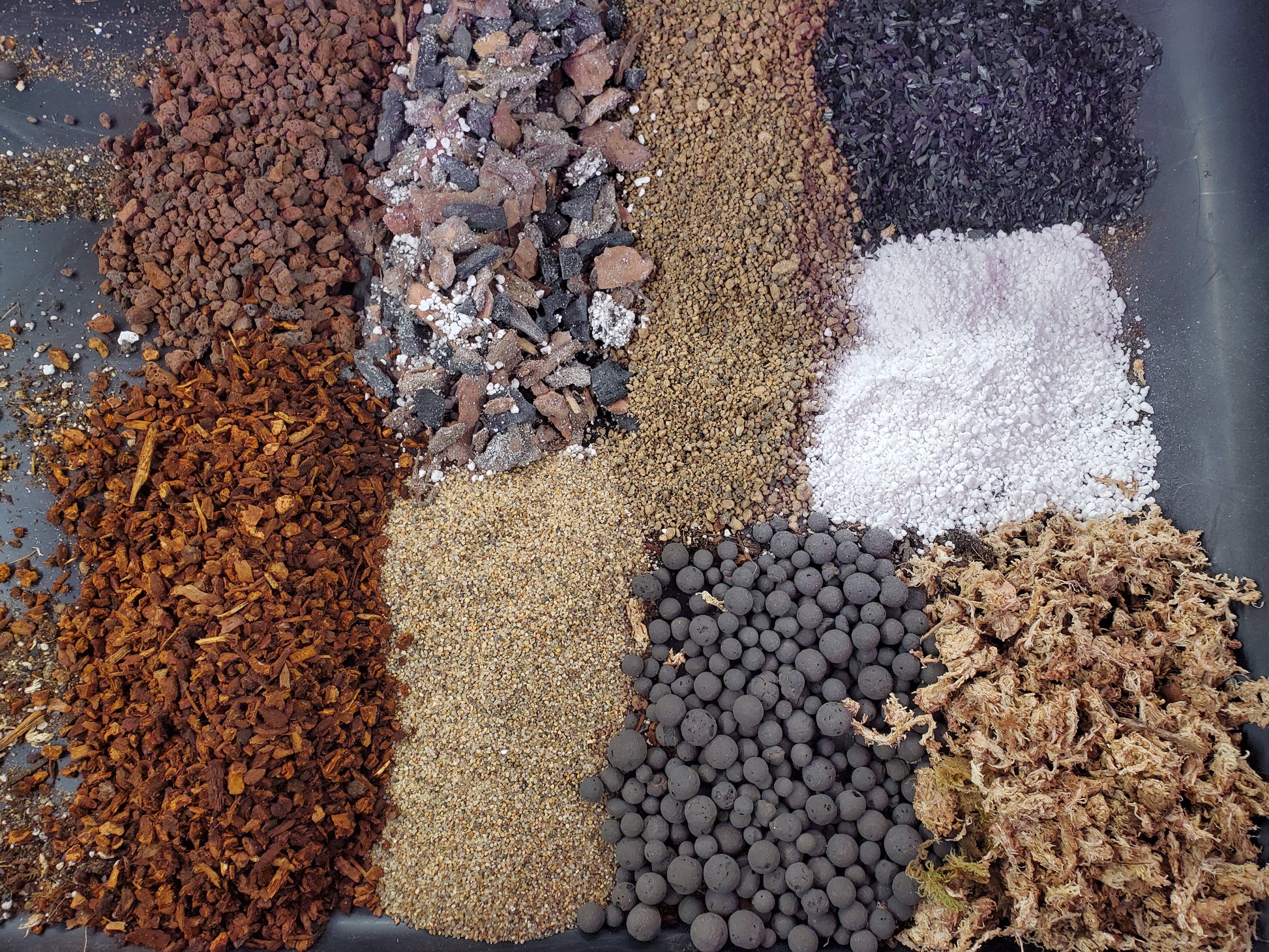 NewRoots Ultimate Whale Fin Soil - 10 Ingredient Formulation - Sansevieria Masoniana - NewRoots Plants