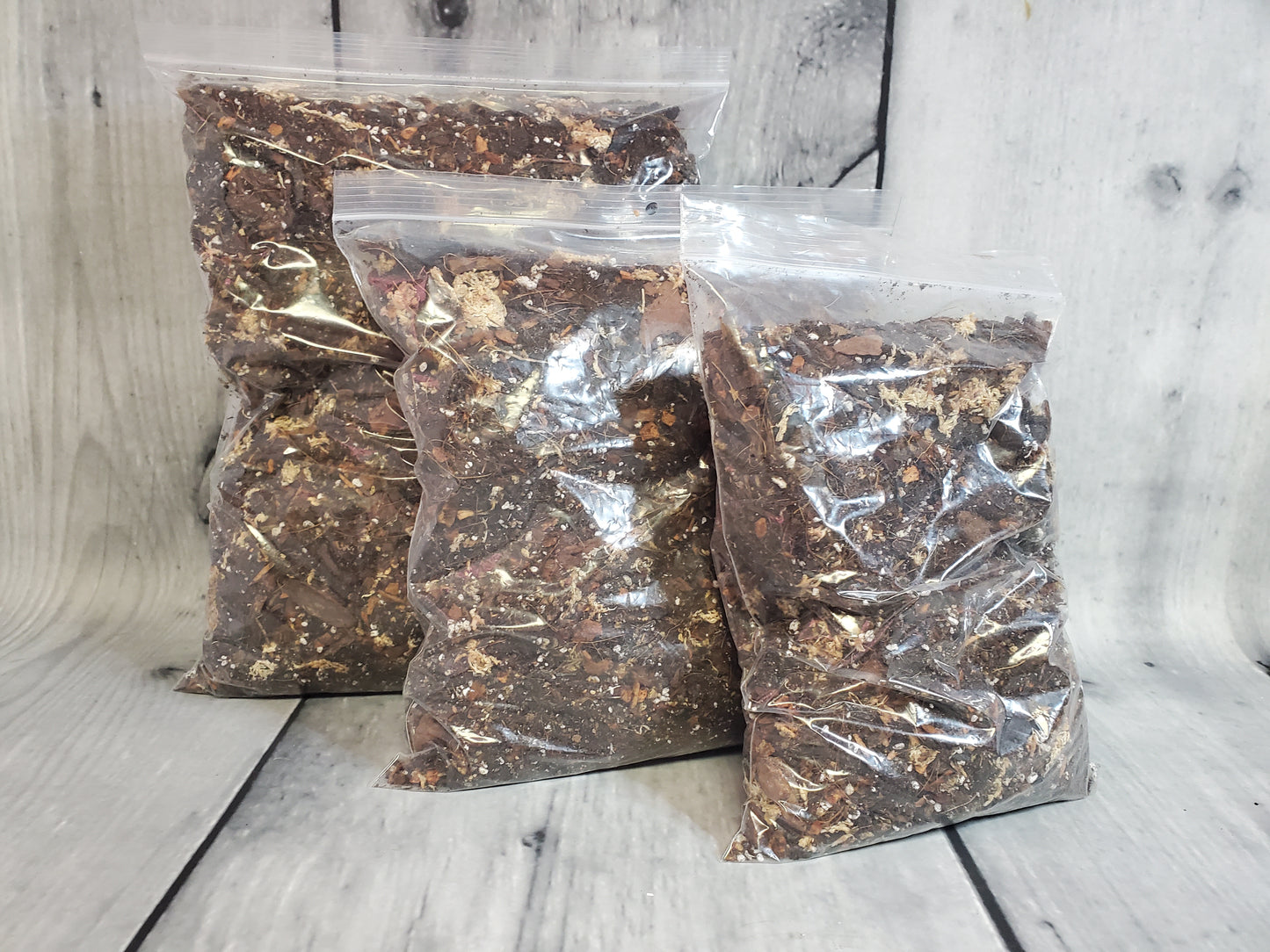 NewRoots Ultimate Whale Fin Soil - 10 Ingredient Formulation - Sansevieria Masoniana - NewRoots Plants