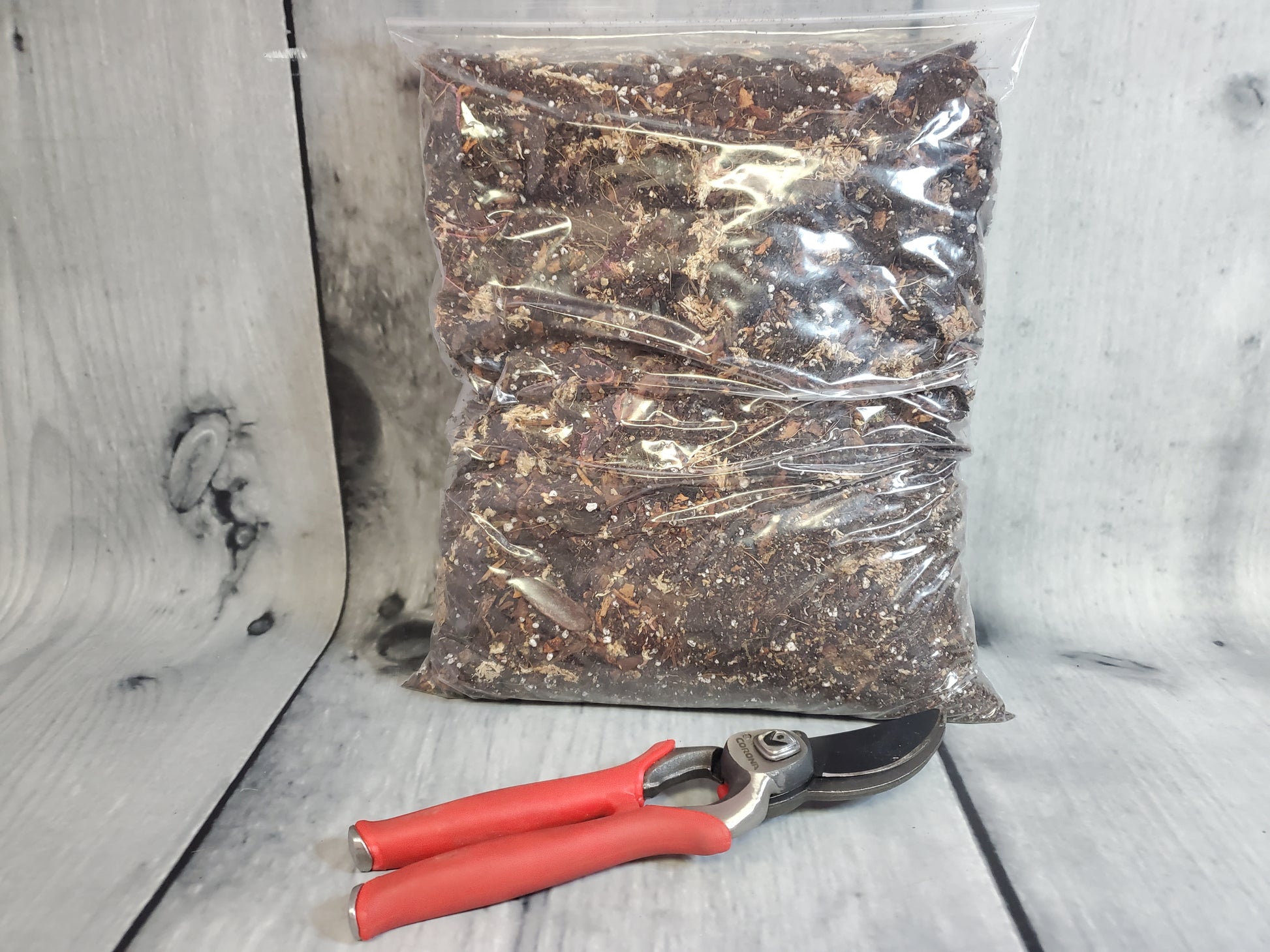 NewRoots Ultimate Whale Fin Soil - 10 Ingredient Formulation - Sansevieria Masoniana - NewRoots Plants