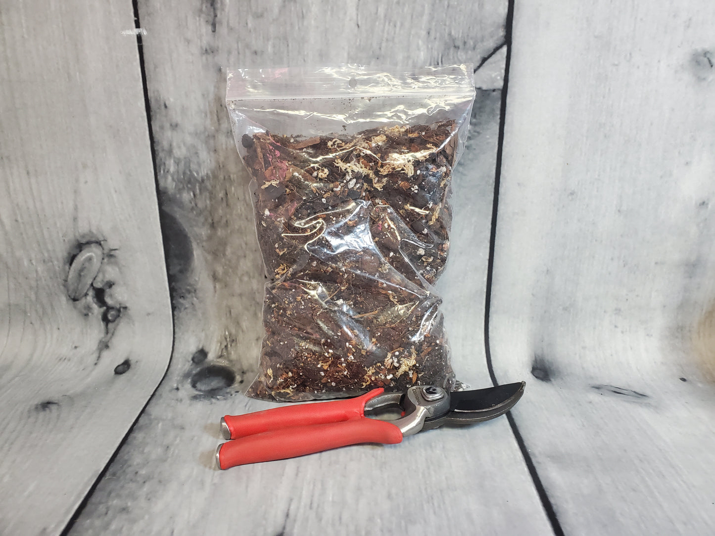 NewRoots Ultimate Whale Fin Soil - 10 Ingredient Formulation - Sansevieria Masoniana - NewRoots Plants